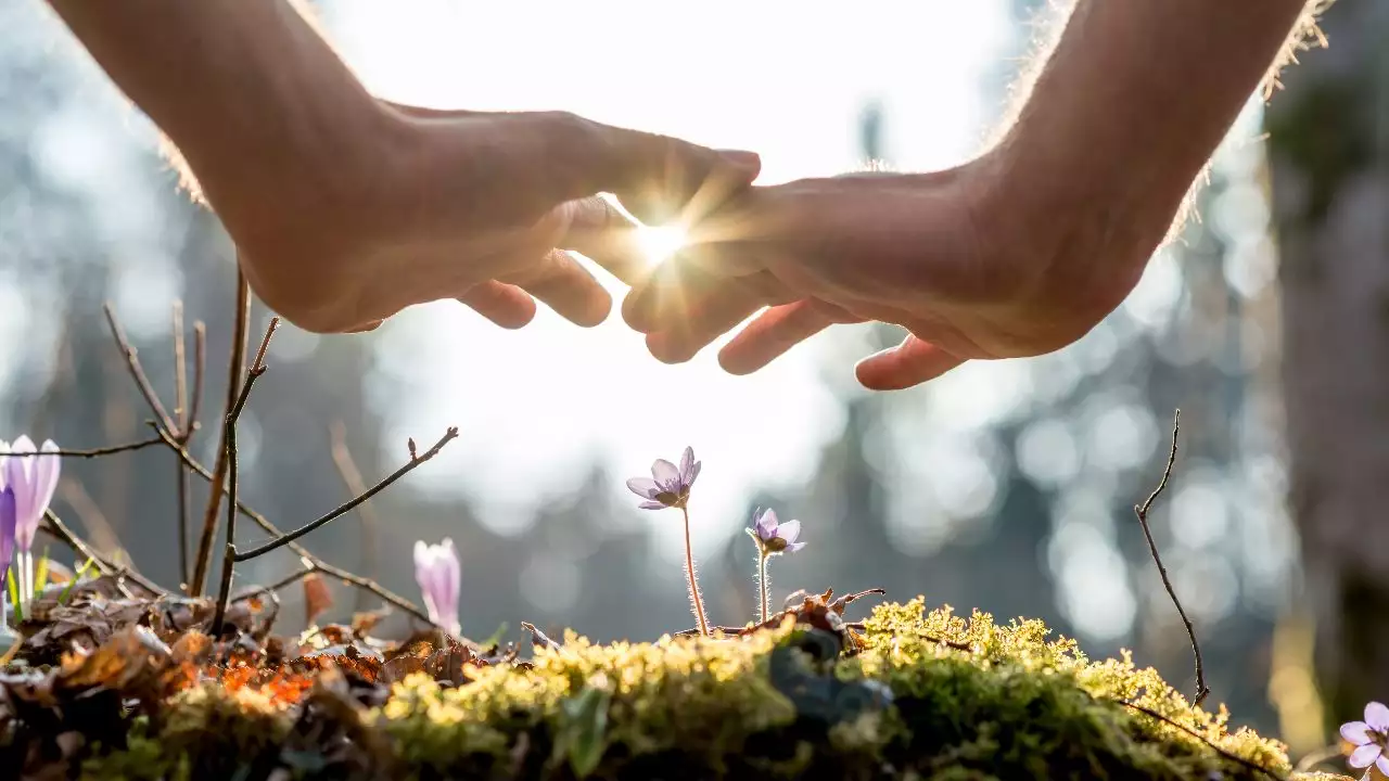 thérapeute énergétique Vayres 33